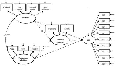 Relationships Between Job Stress, Psychological Adaptation and Internet Gaming Disorder Among Migrant Factory Workers in China: The Mediation Role of Negative Affective States